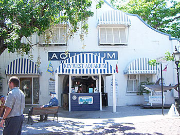 Key West Aquarium | 2007