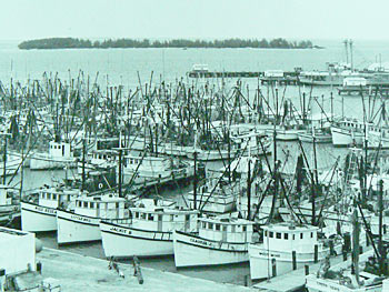 Shrimp Boats | 1960